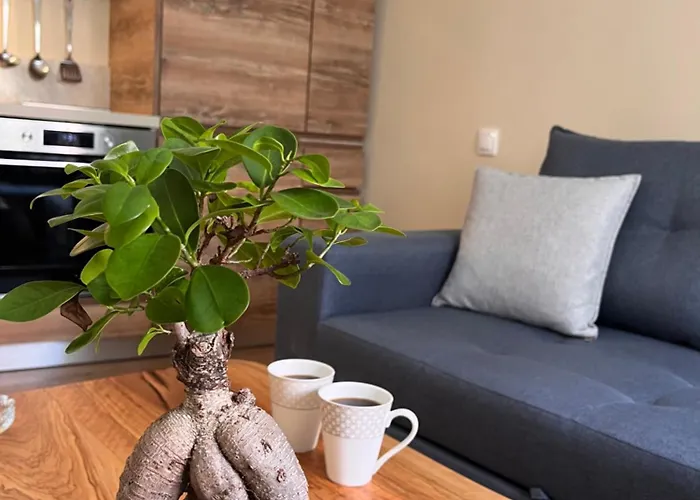 Aroma Elias Hébergement de vacances