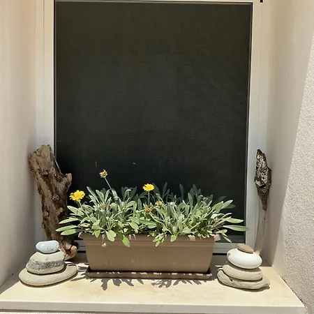 Dom wakacyjny Aroma Elias *